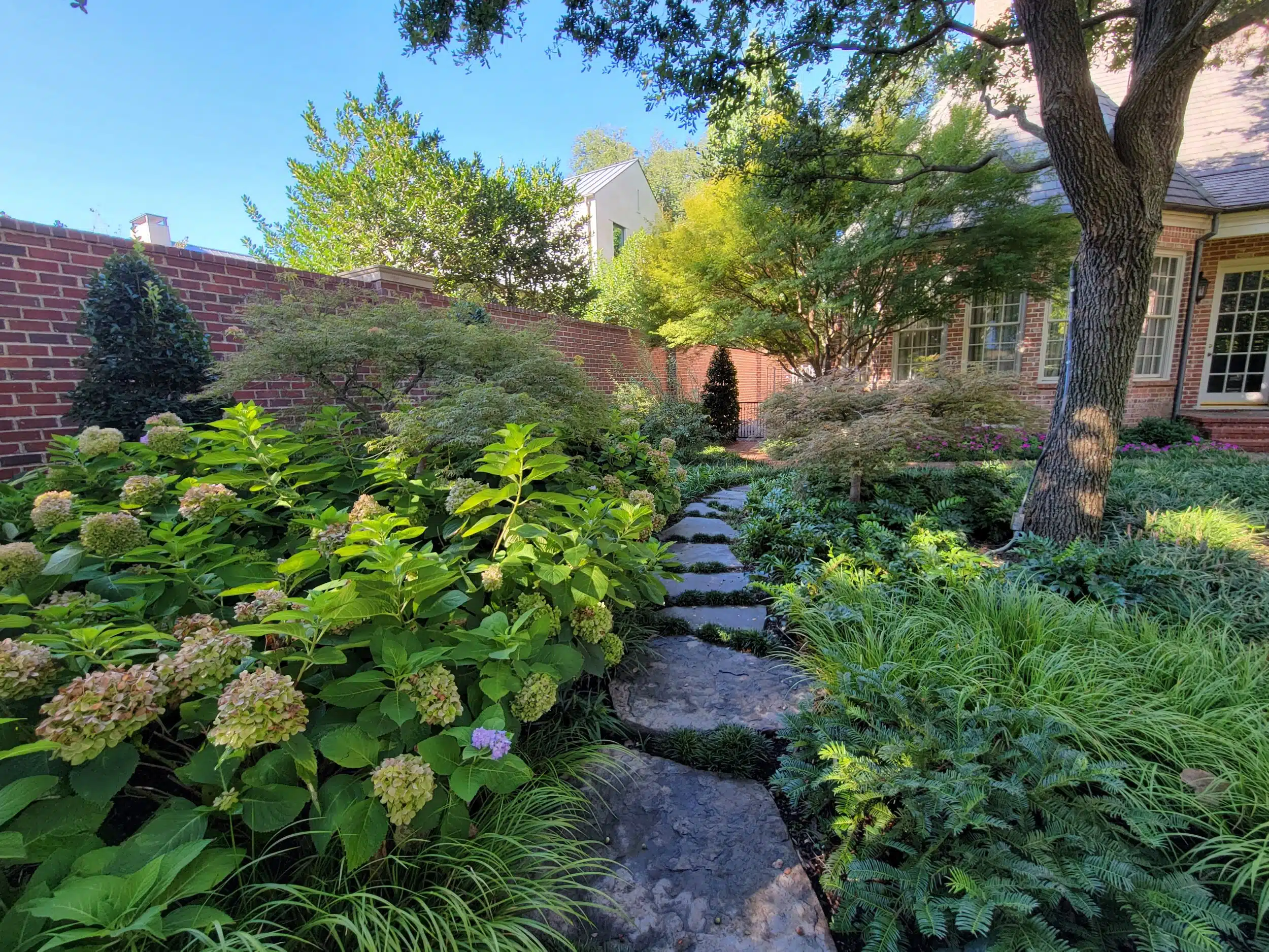 Drought-Tolerant Landscape