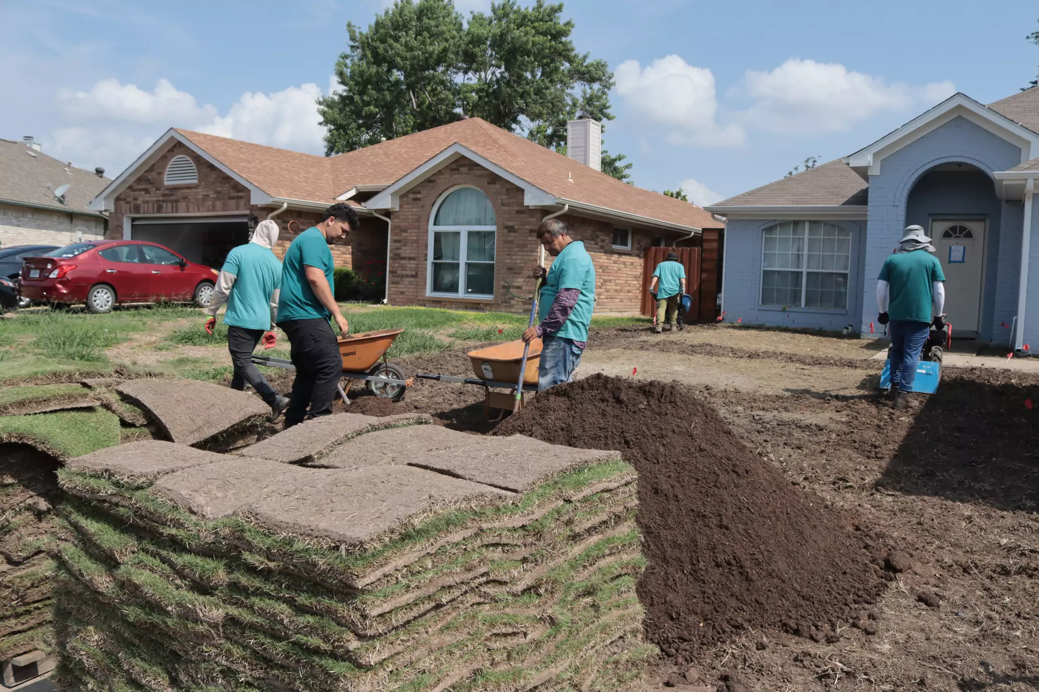 Complete Lawn Transformation